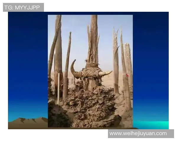 琼斯的探险之旅揭示未知世界的神秘与奇迹