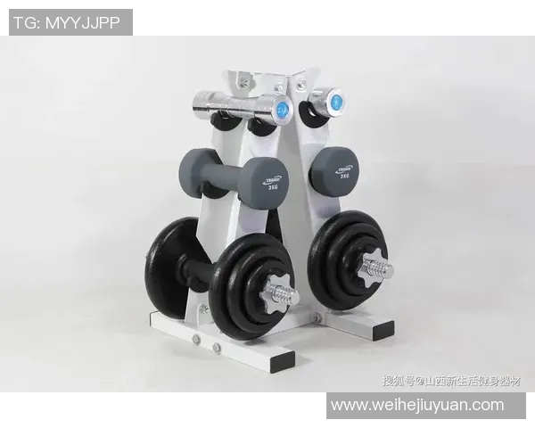 全面解析哑铃使用技巧与注意事项助你打造完美身材