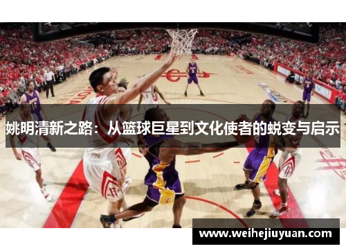 姚明清新之路：从篮球巨星到文化使者的蜕变与启示