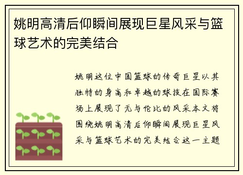 姚明高清后仰瞬间展现巨星风采与篮球艺术的完美结合
