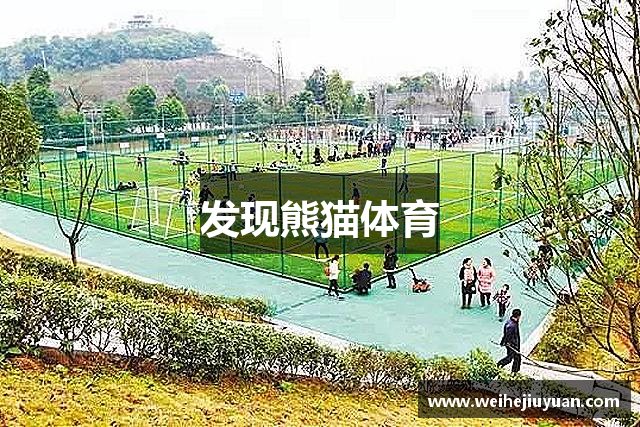 发现熊猫体育